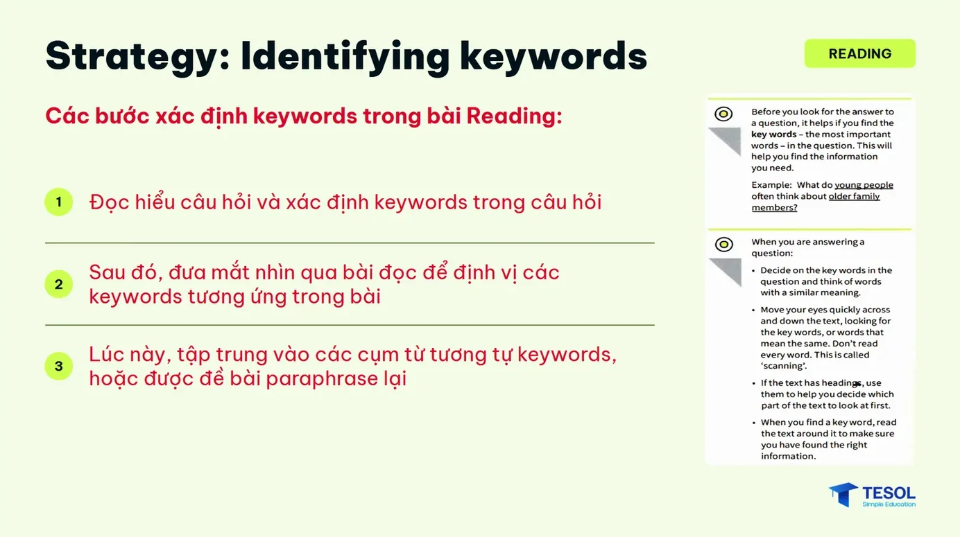 Slide mẫu bài Reading: Strategy - Identifying keywords